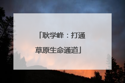耿学峰：打通草原生命通道